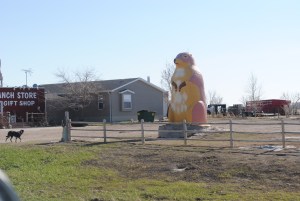 6 tons of prairie dog fun